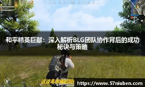 和平精英巨献:深入解析BLG团队协作背后的成功秘诀与策略